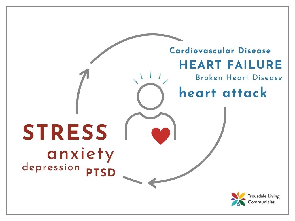 Effects of Stress on the Heart